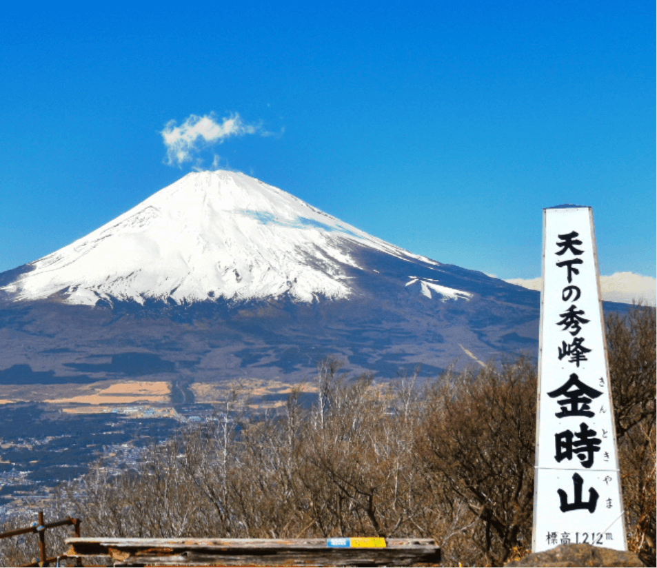 南足柄について